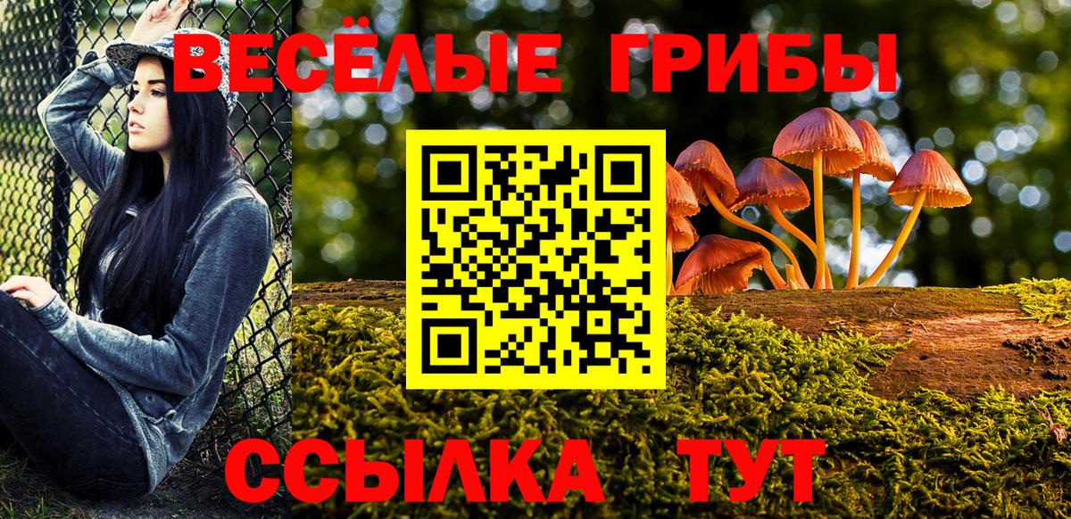 Качканар  Галлюциногенные грибы Psilocybe  Вход с VPN  Псилоцибиновые грибы GOLDEN TEACHER 