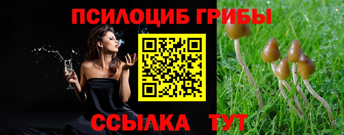 Галлюциногенные грибы MAGIC MUSHROOMS Качканар