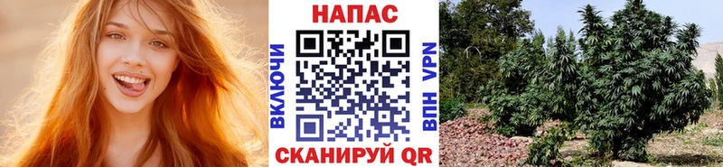 Канабис White Widow Качканар